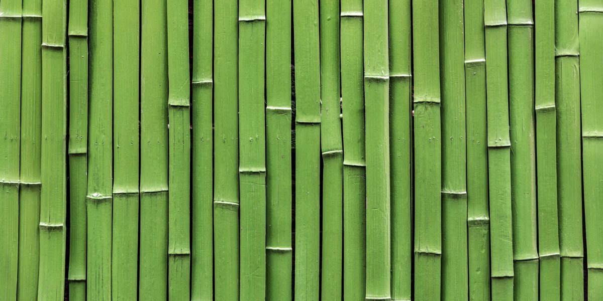 bamboo raft