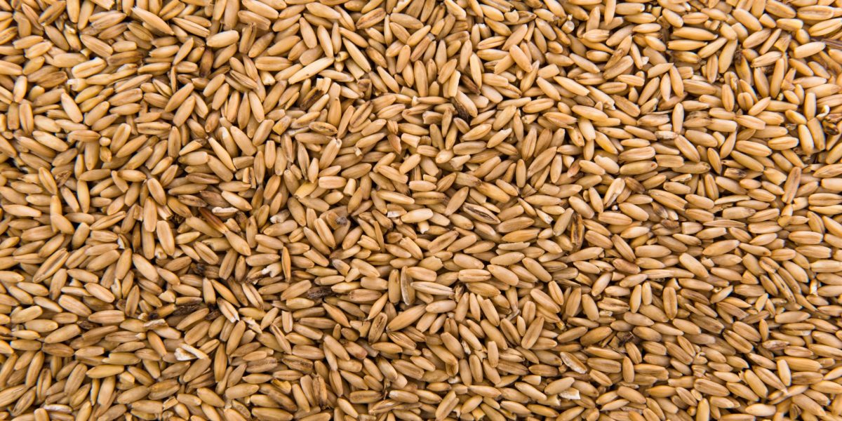 oats peeled